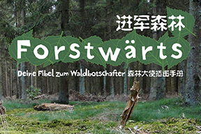 Forstwärts ⎪ 进军森林 ⎪ Forest Forward